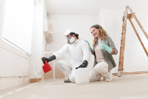 Mold Remediation for Vacation Homes in Olean, NY